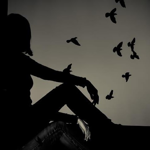 Birds Flocking Bw